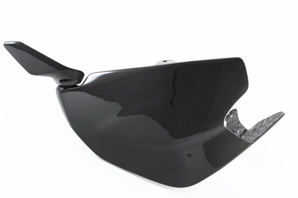 Swingarm Guard