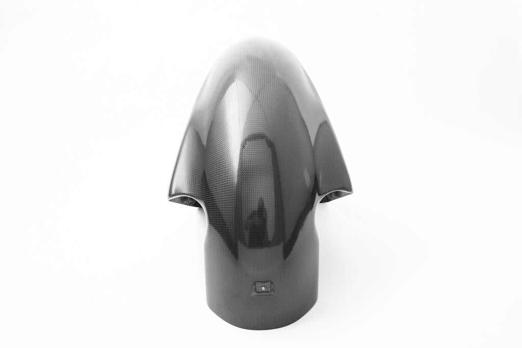 FRONT MUDGUARD - Desmosedici RR Type